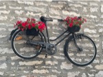 resIMG_20220531_201857_IMG_8299_HEIC.jpg